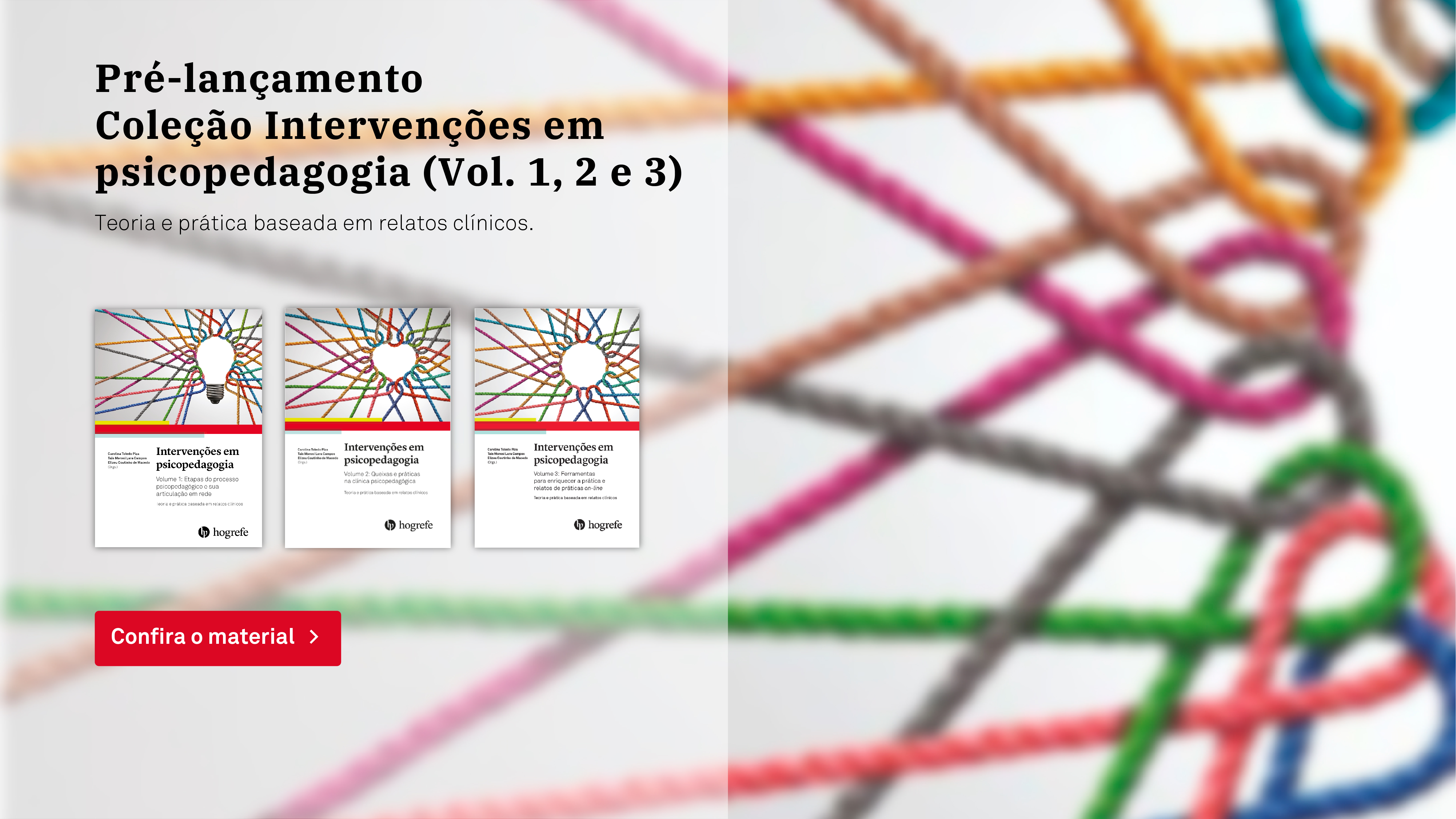 Livro Psicopedagogia: Fundamentos Para A Construção De Um Estilo